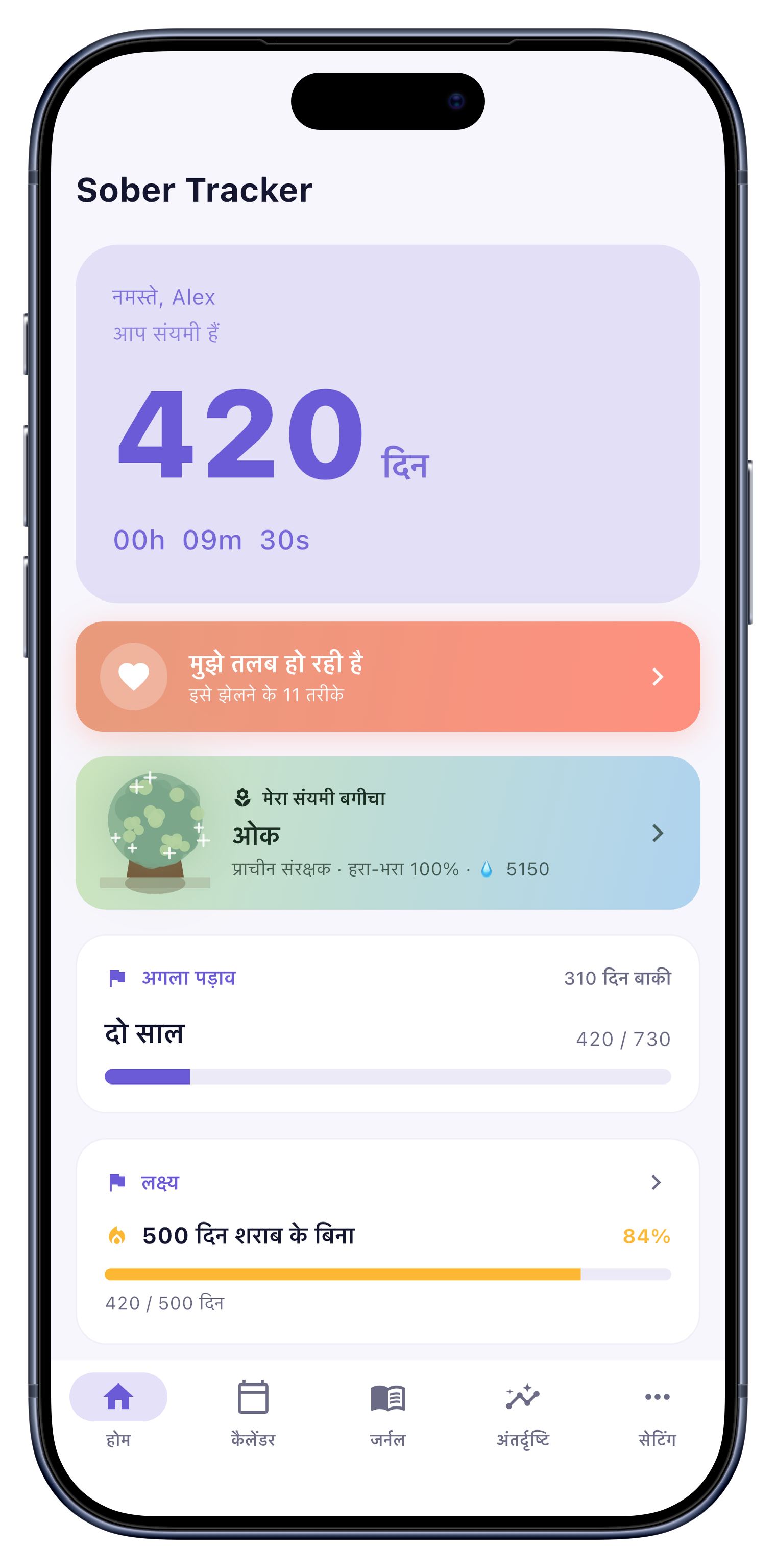 सोबर स्ट्रीक काउंटर और रिकवरी गार्डन वाला होम स्क्रीन