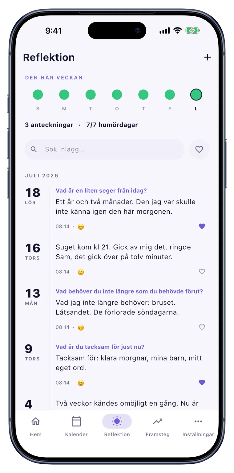 Reflektion: Humör, tacksamhet, sug. Med dina egna ord.