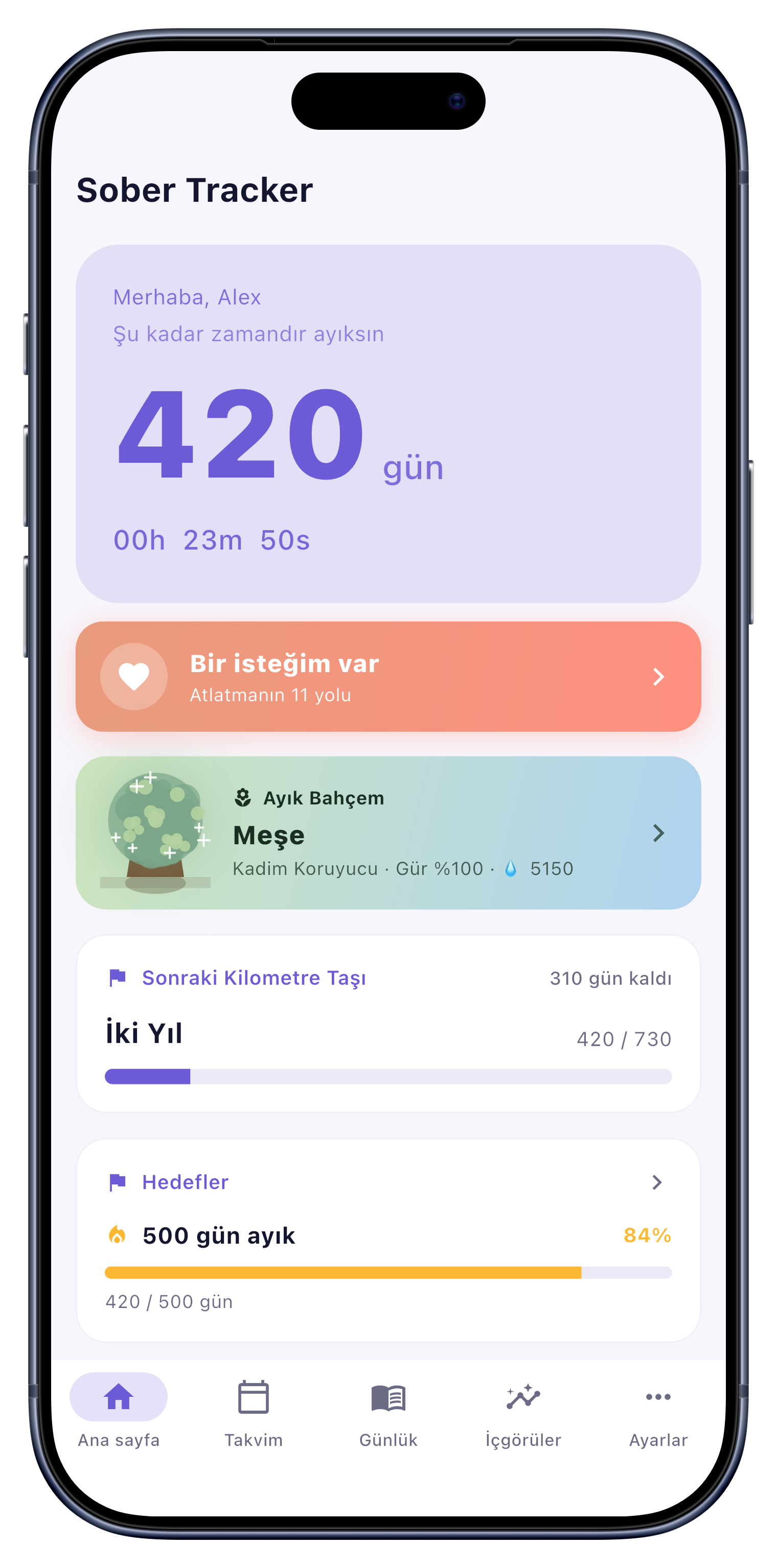 Ayık seri sayacını ve toparlanma bahçesini gösteren ana ekran
