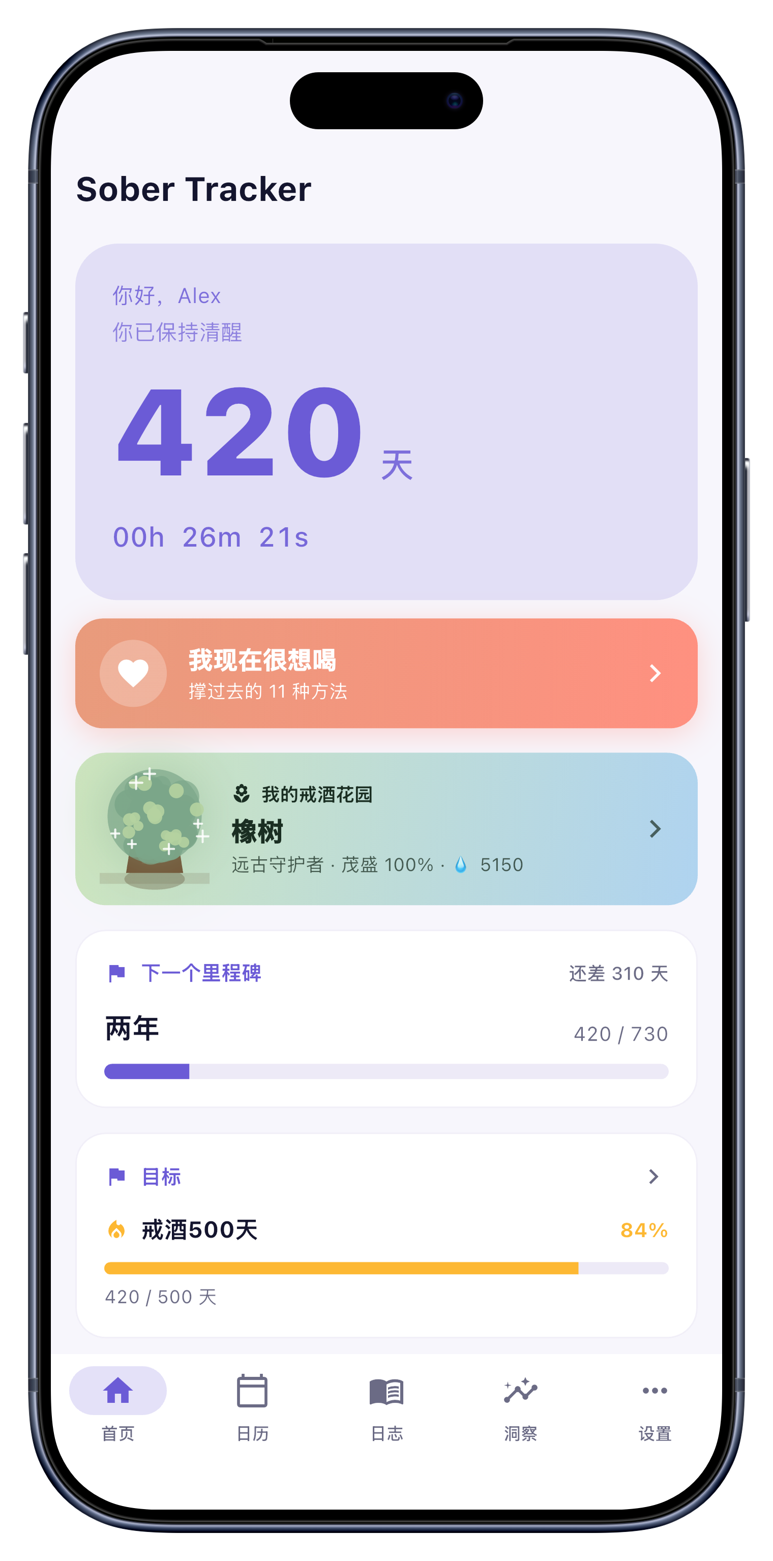 显示戒酒连续天数计数器与康复花园的主屏幕